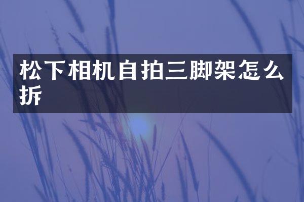 相机三脚架怎么拆
