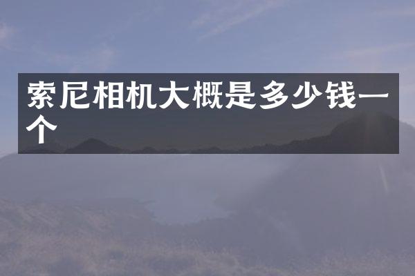 相机大概是多少钱一个