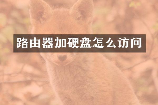 路由器加硬盘怎么访问