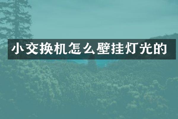 小交换机怎么壁挂灯光的
