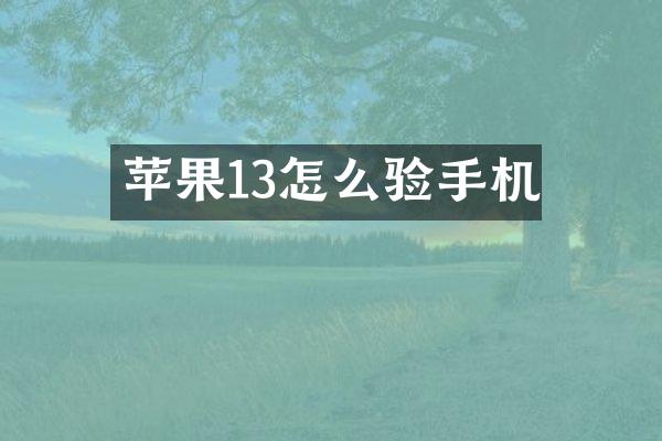 苹果13怎么验手机