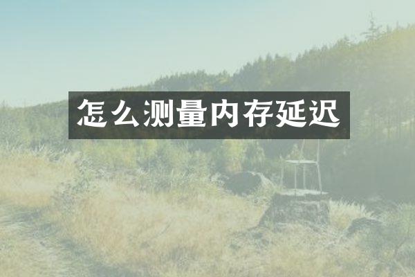 怎么测量内存延迟