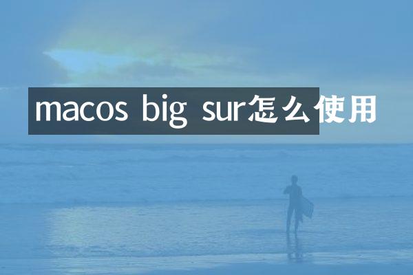macos big sur怎么使用