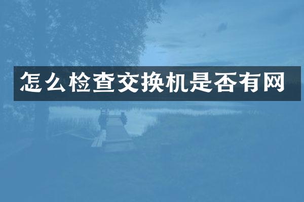 怎么检查交换机是否有网
