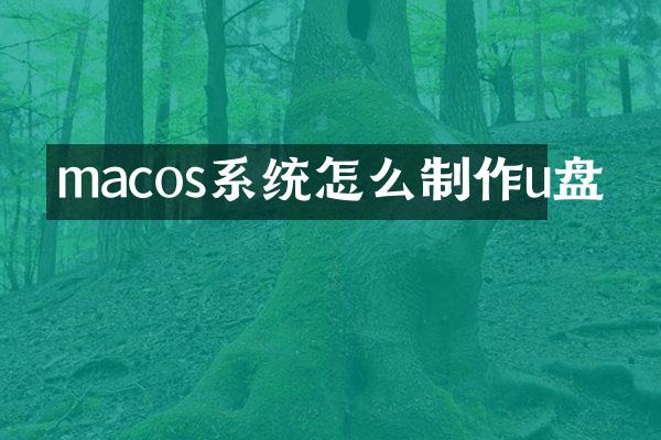 macos系统怎么制作u盘