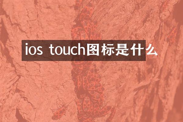 ios touch图标是什么