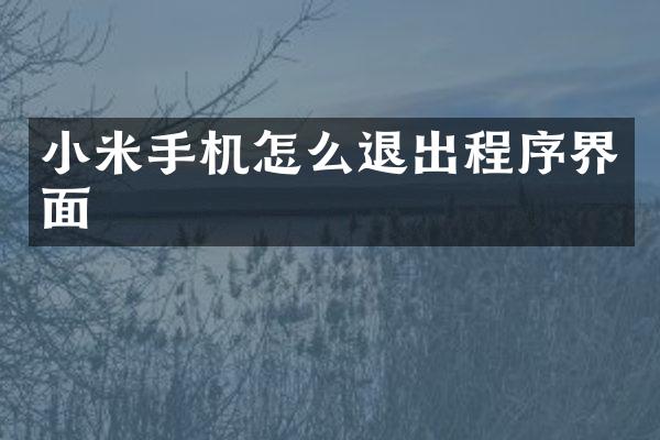 小米手机怎么退出程序界面