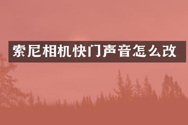 相机快门声音怎么改