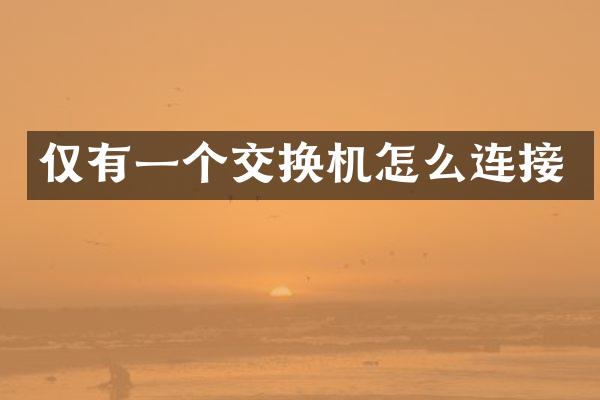 仅有一个交换机怎么连接