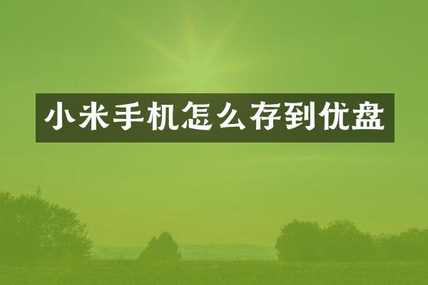 小米手机怎么存到优盘