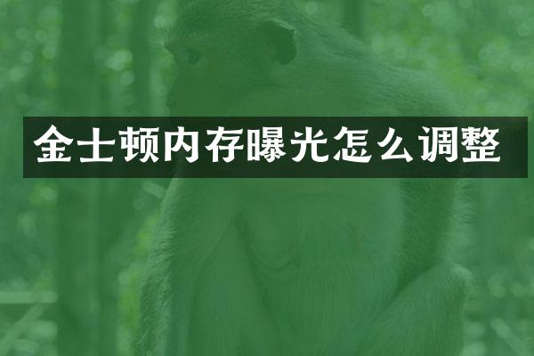 金士顿内存曝光怎么调整