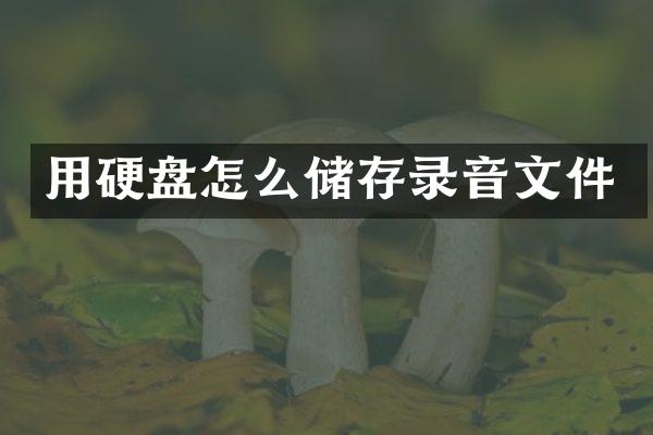 用硬盘怎么储存录音文件