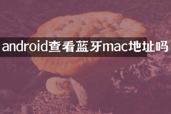 android查看蓝牙mac地址吗