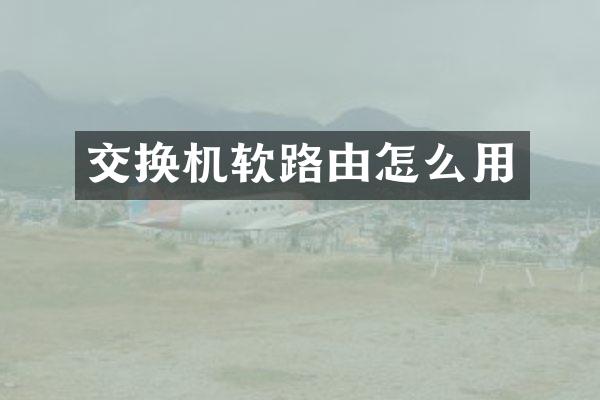 交换机软路由怎么用