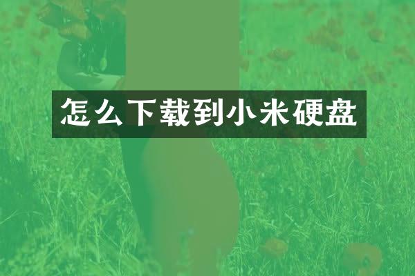 怎么下载到小米硬盘