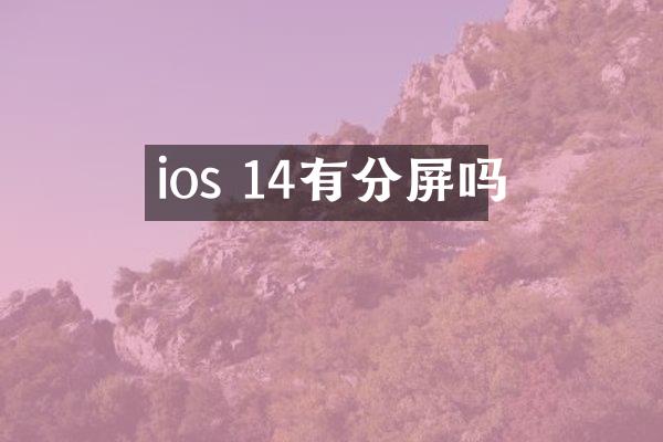 ios 14有分屏吗