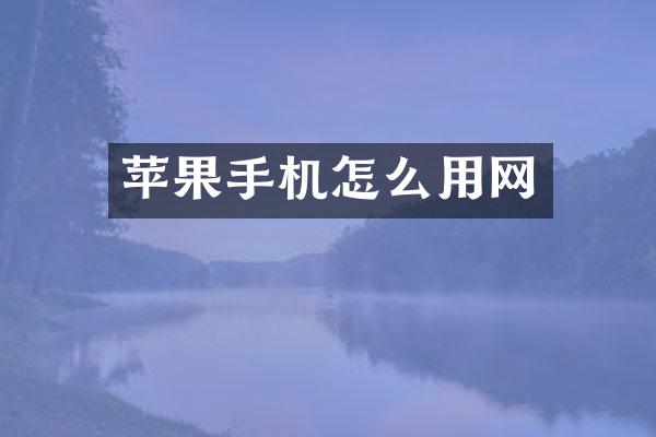 苹果手机怎么用网