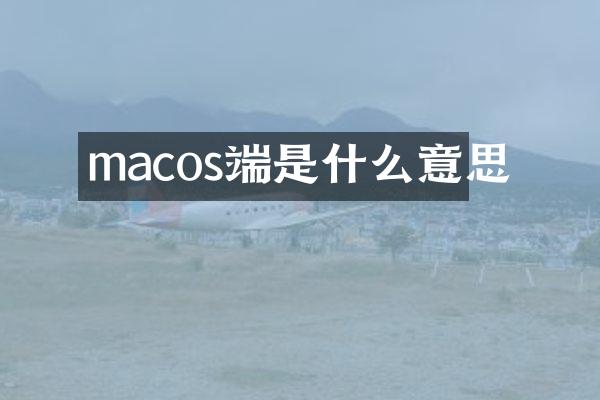 macos端是什么意思