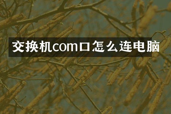交换机com口怎么连电脑