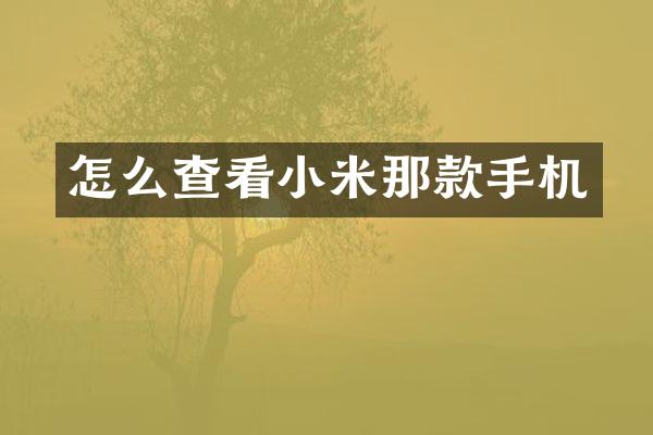 怎么查看小米那款手机