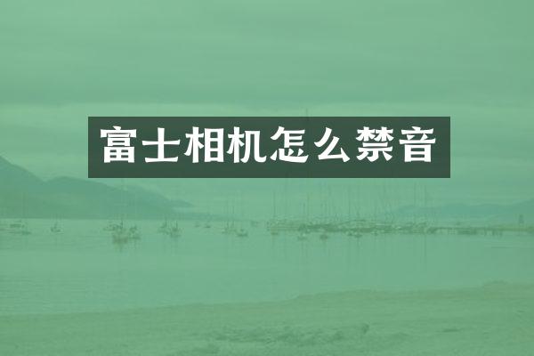 富士相机怎么禁音