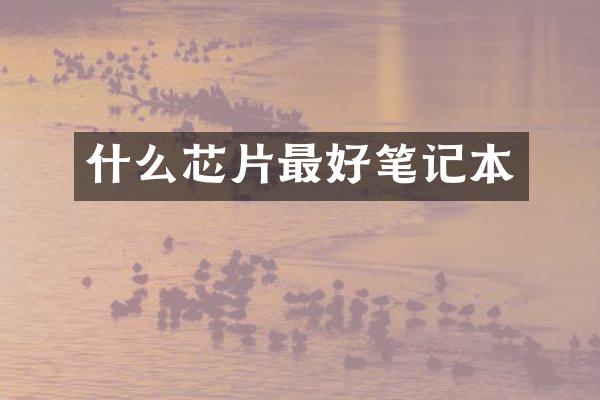 什么芯片最好笔记本