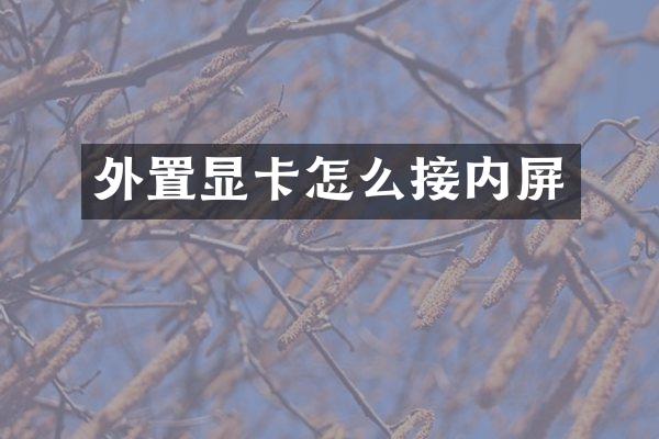 外置显卡怎么接内屏