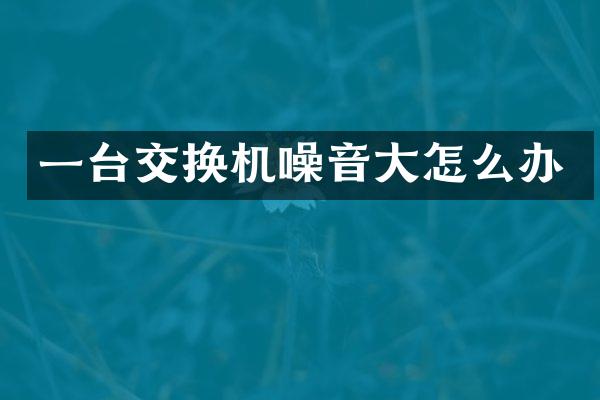 一台交换机噪音大怎么办