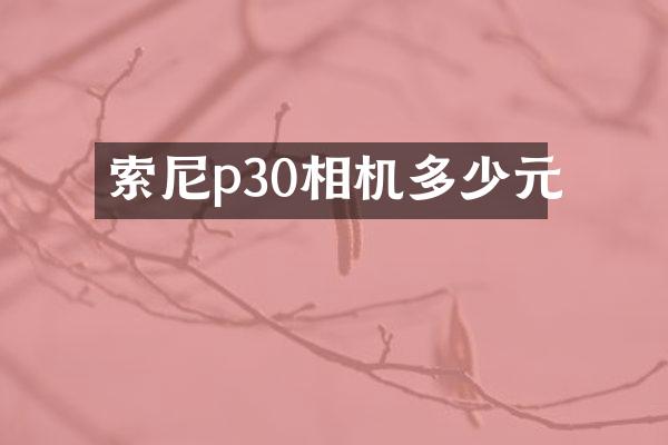p30相机多少元
