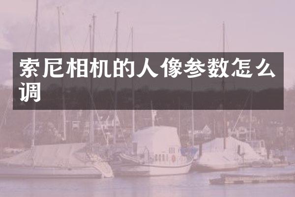 相机的人像参数怎么调