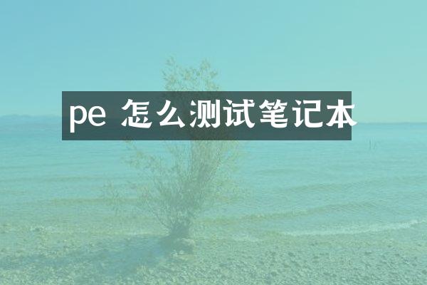 pe 怎么测试笔记本