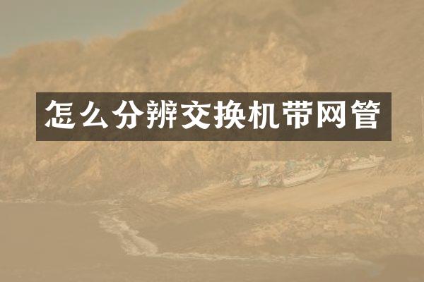 怎么分辨交换机带网管