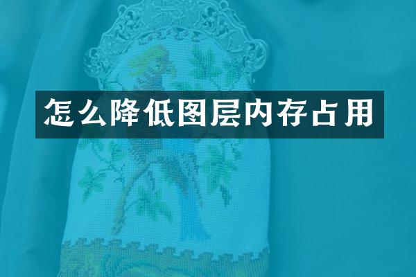 怎么降低图层内存占用