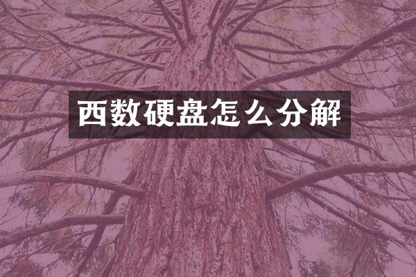 西数硬盘怎么分解