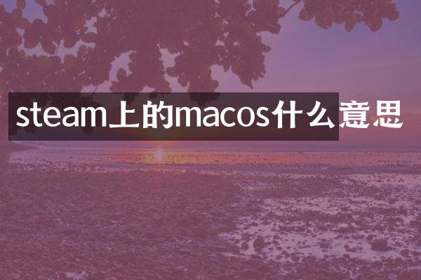steam上的macos什么意思