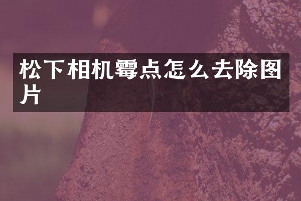 相机霉点怎么去除图片