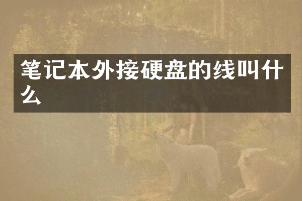 笔记本外接硬盘的线叫什么