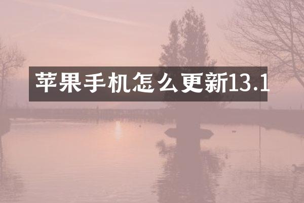 苹果手机怎么更新13.1