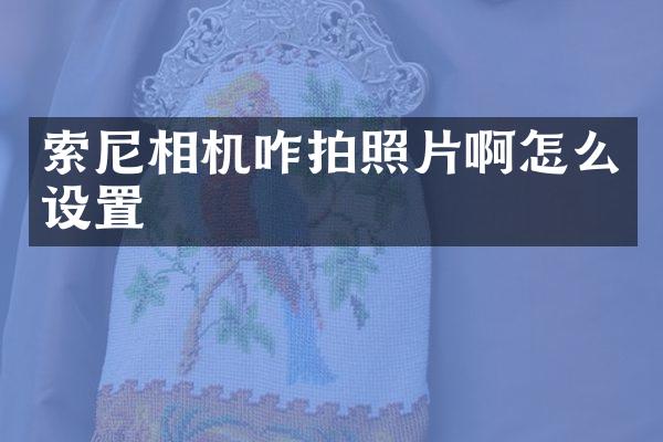 相机咋拍照片啊怎么设置