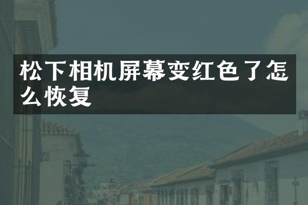 相机屏幕变红色了怎么恢复