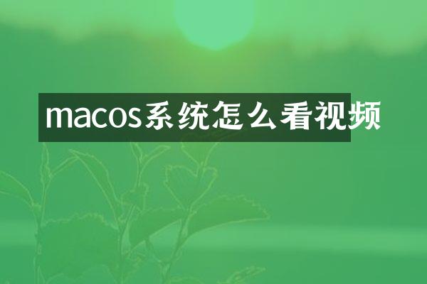 macos系统怎么看视频