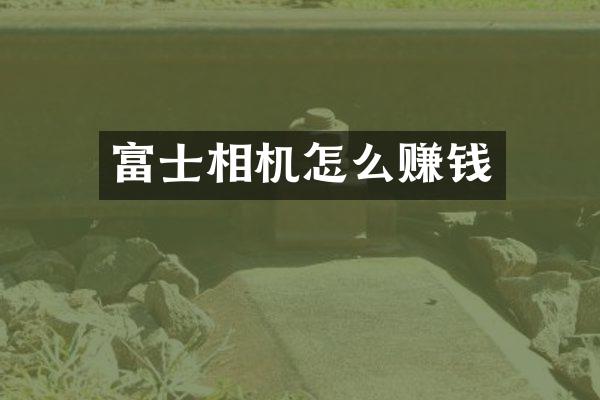 富士相机怎么赚钱