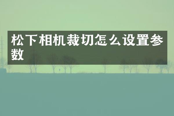 相机裁切怎么设置参数