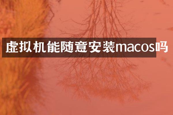虚拟机能随意安装macos吗