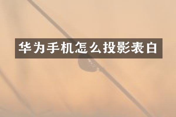 华为手机怎么投影表白