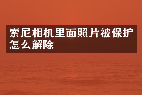 相机里面照片被保护怎么解除