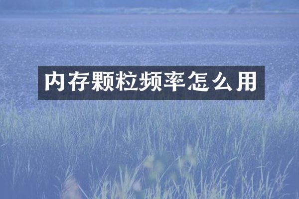 内存颗粒频率怎么用