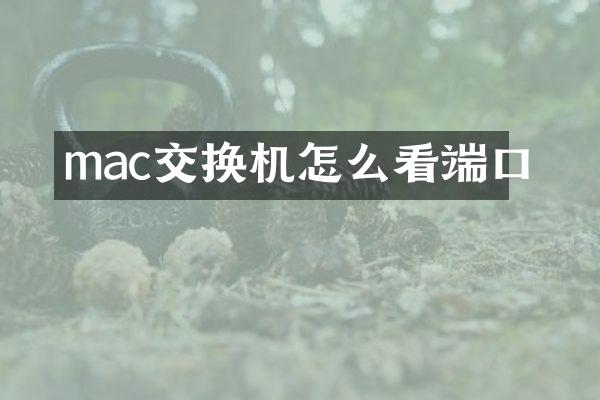 mac交换机怎么看端口