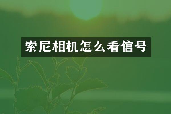 相机怎么看信号