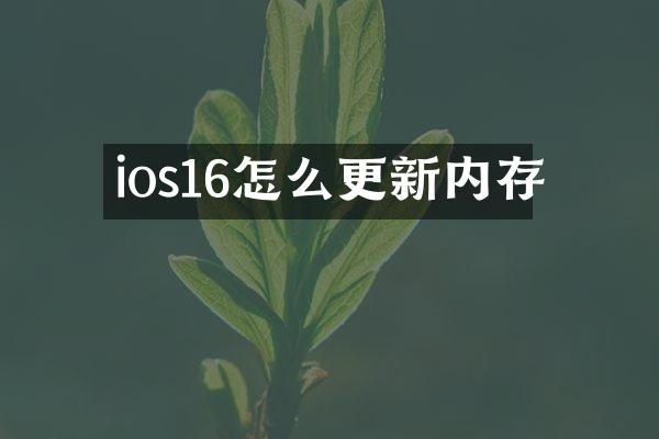 ios16怎么更新内存